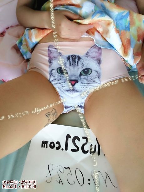 猫咪在看着你！猫奴还不快来原味内裤|裤类三角内内